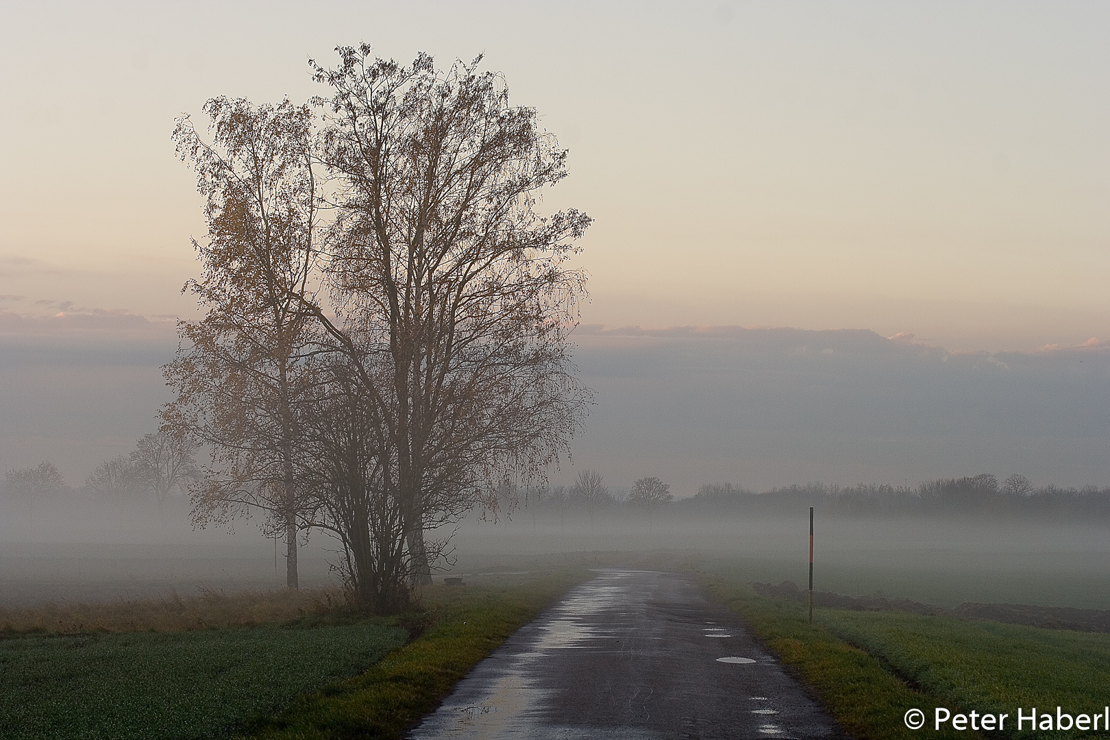 IMG 1776 bearbeitet 1