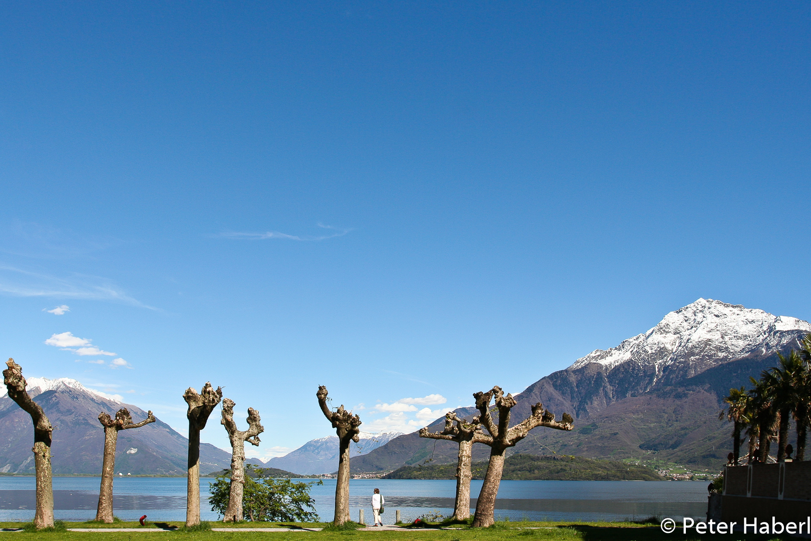 IMG 4694 bearbeitet 20050427